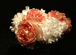 Peonies